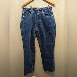 NWOT 31R Everlane The Curvy 90s Cheeky Straight Jeans